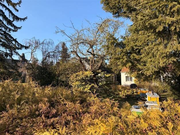 Grundstück zum Kauf provisionsfrei 199.990 € 606 m² Grundstück Neu Lindenberg Ahrensfelde 16356