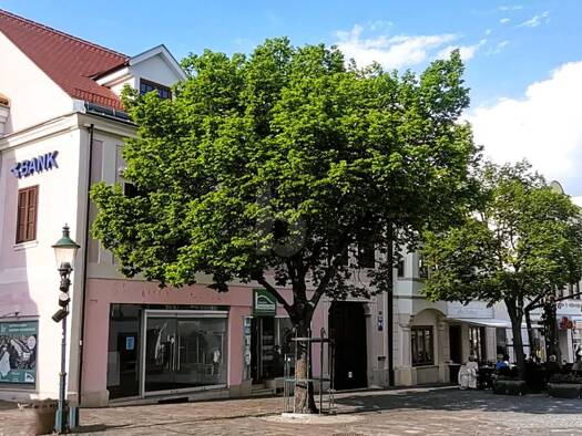 Laden zur Miete 1.500 € 6 Zimmer Eisenstadt Eisenstadt 7000