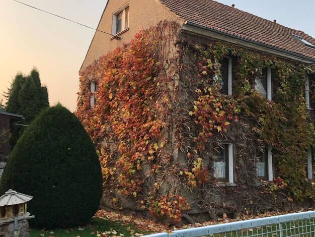 Einfamilienhaus zum Kauf 360.000 € 5 Zimmer 148 m² 831 m² Grundstück Radeberger Straße Weißig Dresden 01328