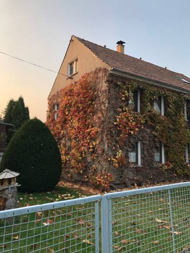 Einfamilienhaus zum Kauf 360.000 € 5 Zimmer 148 m² 831 m² Grundstück Radeberger Straße Weißig Dresden 01328
