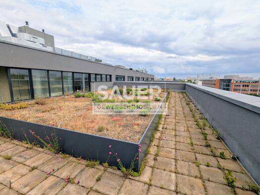 Bürofläche zur Miete - Erstbezug provisionsfrei 15 € 434 m² Bürofläche teilbar ab 315 m² Teltow 14513