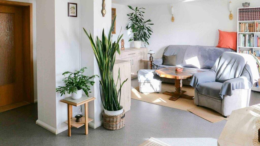 Wohnung zum Kauf 215.000 € 3 Zimmer 80 m² EG Sassnitz 18546