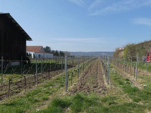 Grundstück zum Kauf 640 m² Grundstück Herxheim am Berg 67273