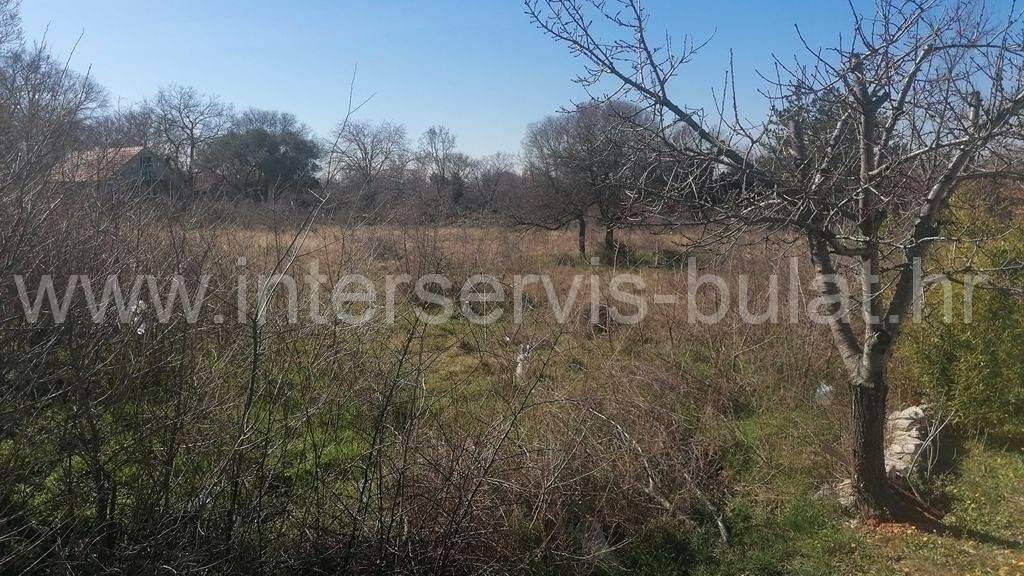 Land-/Forstwirtschaft zum Kauf 95.000 € Promina