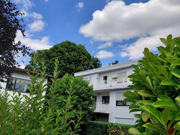 Wohnung zum Kauf provisionsfrei 365.000 € 2 Zimmer 71 m² 1. Geschoss Bad Homburg Bad Homburg vor der Höhe 61348