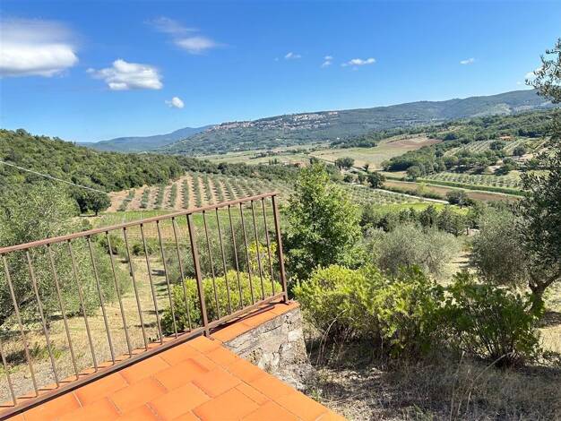 Grundstück zum Kauf 230.000 € 40.000 m² Grundstück Olivenhain mit Häuschen auf Hügel und Blick auf Ma Massa Marittima 58024