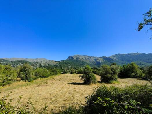 Grundstück zum Kauf 790.000 € 6.700 m² Grundstück Pollença 07460