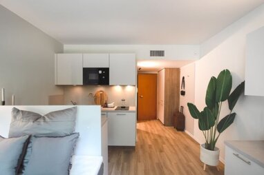 Apartment zur Miete 569 € 1 Zimmer 21 m² frei ab sofort Kaiserplatz 11 Bonner Talviertel Bonn 53113