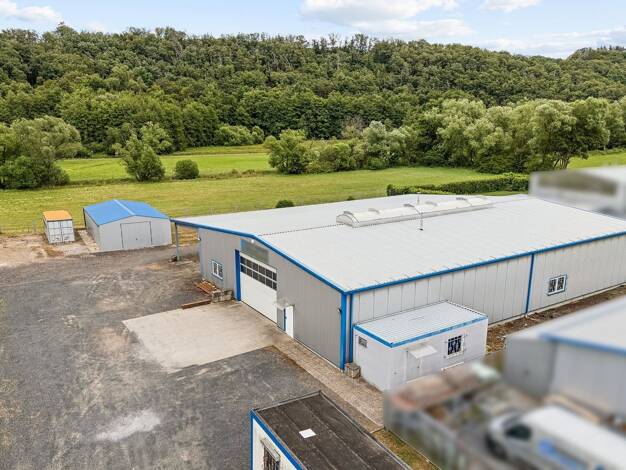 Lagerhalle zum Kauf 569.000 € 631 m² Lagerfläche Schiesheim 65623