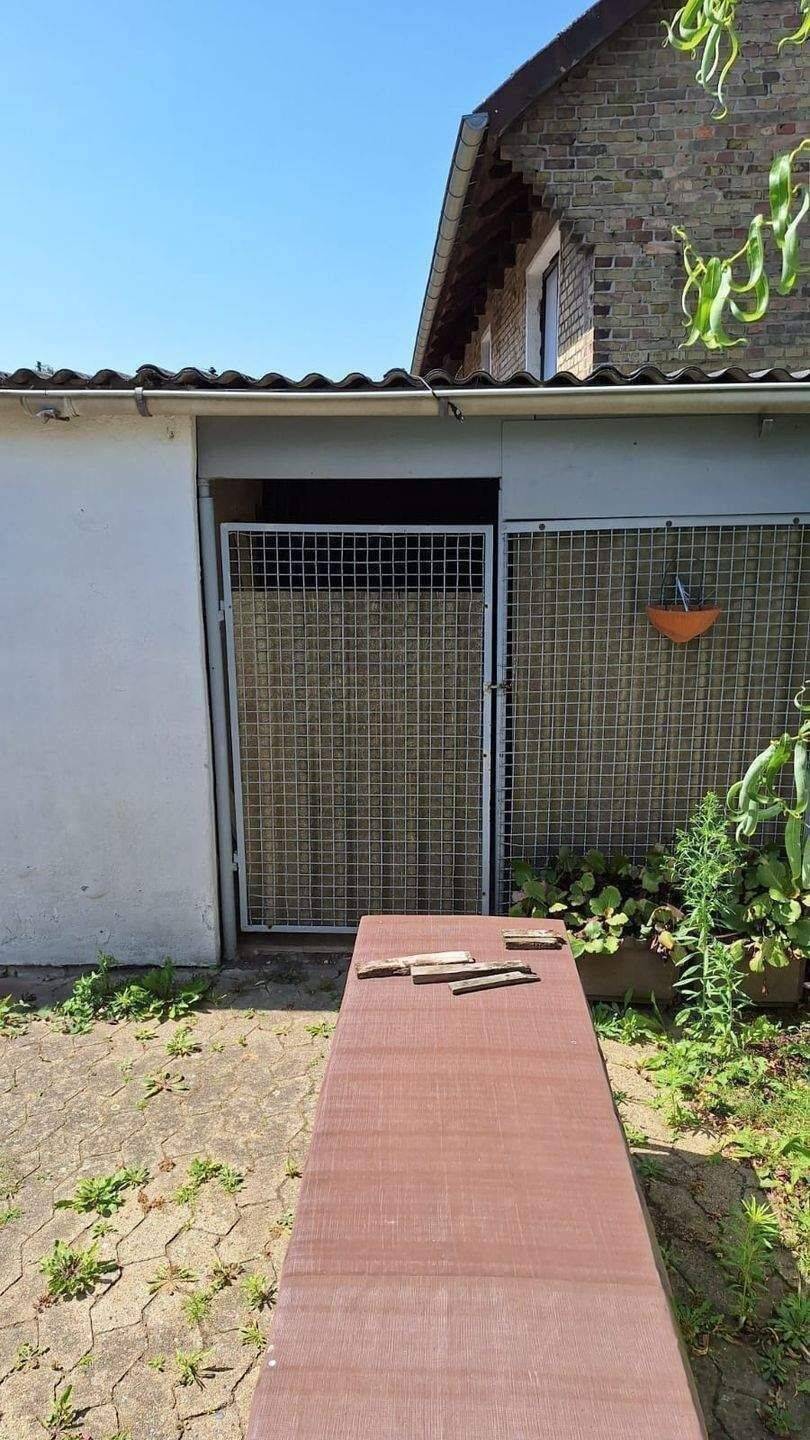 Haus – Braunschweig, Südwest - Mehr