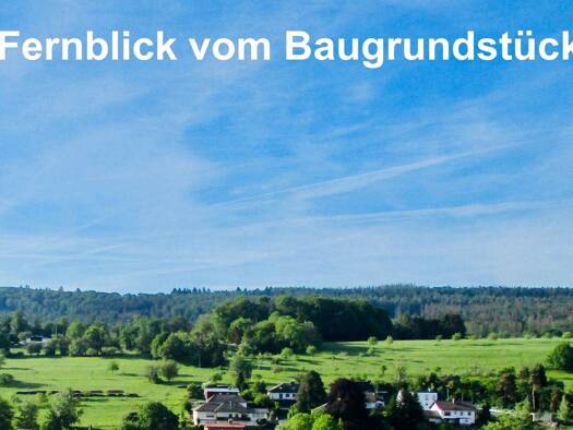 Grundstück zum Kauf provisionsfrei 220.000 € 290 m² Grundstück Niedernhausen Niedernhausen 65527