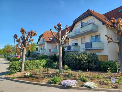 Wohnung zur Miete 290 € 1 Zimmer 31,8 m² 1. Geschoss frei ab sofort An den Obstwiesen 33 Weinböhla 01689
