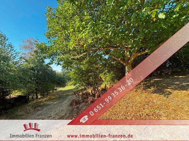 Grundstück zum Kauf 99.800 € 4.395 m² Grundstück Lampaden 54316