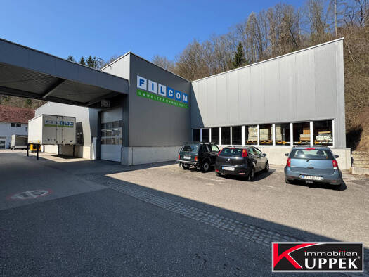 Lagerhalle zum Kauf 2.000.000 € 950 m² Lagerfläche Neuhofen an der Krems 4053