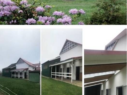 Bauernhaus zum Kauf 1.079.000 € 9 Zimmer 400 m² 14.000 m² Grundstück Warringholz 25560