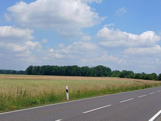 Forstwirtschaft zum Kauf provisionsfrei 44.950 € 22.970 m² Grundstück Pötzschau Rötha 04571