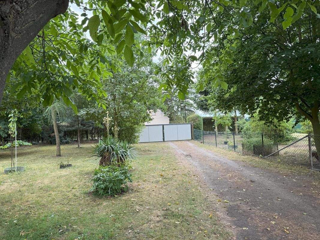 Immobilie in Letschin - Wohnhaus und Gästehaus - ideal auch im Alter - provisionsfrei - Bild 2