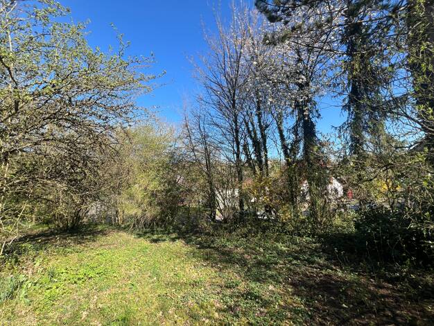 Grundstück zum Kauf 119.000 € 1.042 m² Grundstück Nußbaum 55569