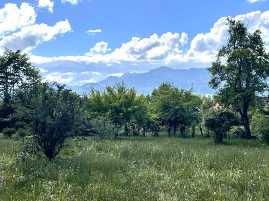 Grundstück zum Kauf 1.350.000 € 872 m² Grundstück Murnau Murnau am Staffelsee 82418