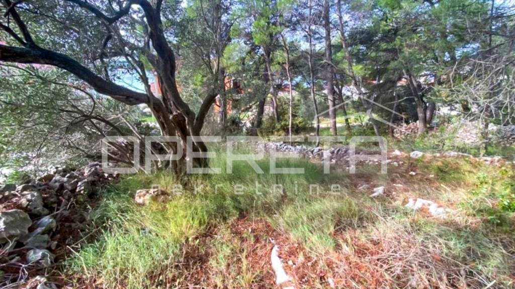 Land-/Forstwirtschaft zum Kauf 155.000 € Rogoznica