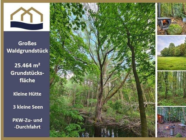 Freizeitgrundstück zum Kauf 119.000 € 25.464 m² Grundstück Hankhausen I Rastede 26180