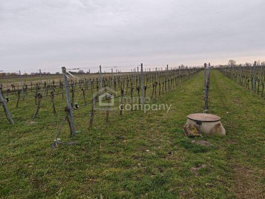 Land-/Forstwirtschaft zum Kauf 18.792 m² Grundstück Illmitz 7142