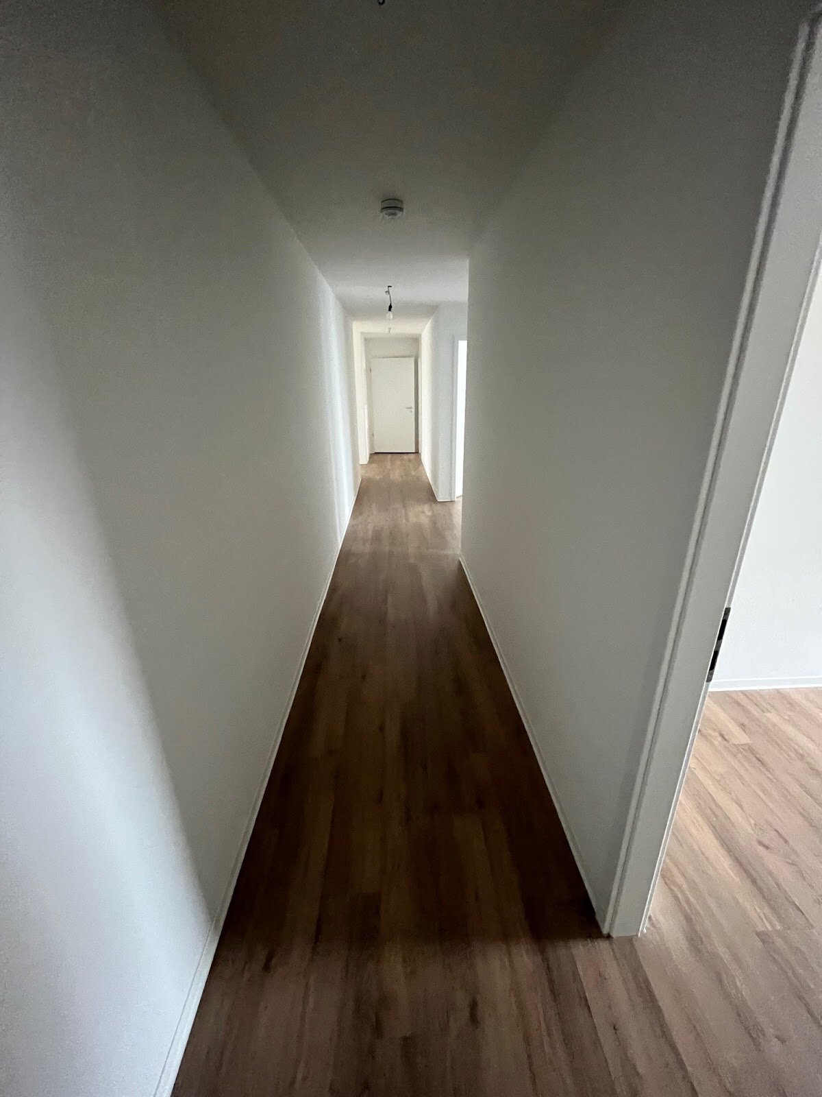 Wohnung zur Miete 1.359 € 3 Zimmer 106,6 m²<br/>Wohnfläche EG<br/>Geschoss 01.01.2025<br/>Verfügbarkeit Karl-Hubbuch-Str. 3 Röhrig Rastatt 76437