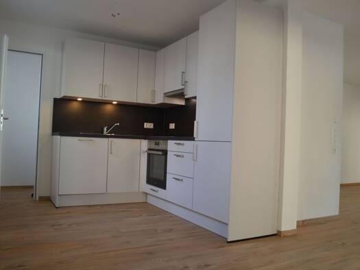 Wohnung zur Miete 1.175 € 3 Zimmer 90,9 m² Geschoss EG/3 frei ab 01.06.2026 Überlingen Singen (Hohentwiel) 78224