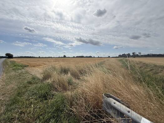 Landwirtschaftliche Fläche zum Kauf 55.428 m² Grundstück Verden (Aller) 27283