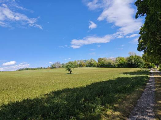 Land-/Forstwirtschaft zum Kauf 99.400 € 6.625 m² Grundstück Marzling Marzling 85417