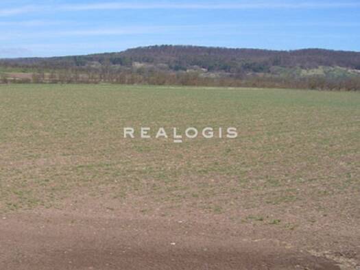 Grundstück zum Kauf 34.355 m² Grundstück Wanzleben 39164