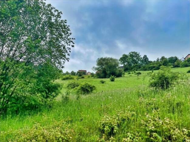 Land-/Forstwirtschaft zum Kauf 35.000 € 23.089 m² Grundstück Maroldsweisach 96126
