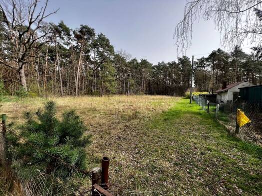 Grundstück zum Kauf provisionsfrei 149.000 € 9.007 m² Grundstück Am Flugplatz Eggersdorf Siedlung Müncheberg 15374