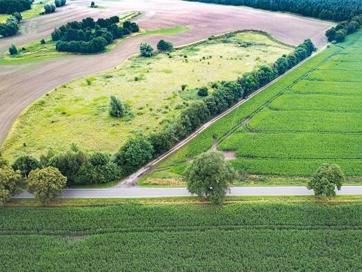 Grundstück zum Kauf 4.000 € 42.654 m² Grundstück Viecheln Behren-Lübchin 17179