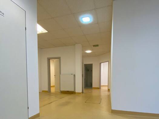 Bürofläche zur Miete provisionsfrei 900 € 6 Zimmer Am Rechen 3380