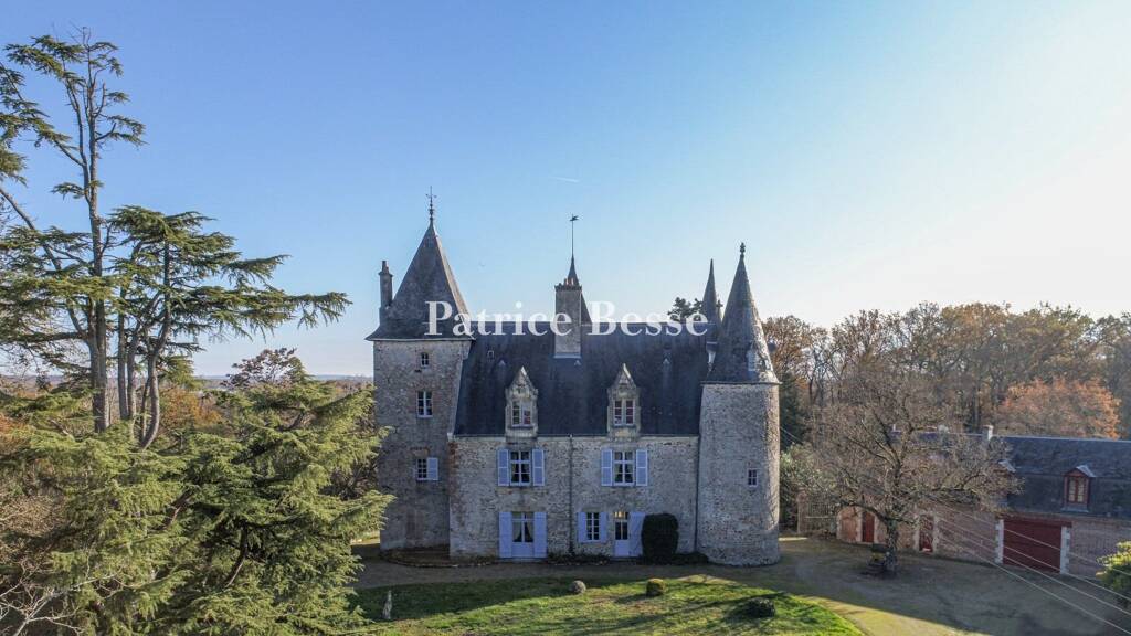 Bauernhaus zum Kauf 990.000 € 12 Zimmer 680 m² 110.000 m² Grundstück Salbris 41300