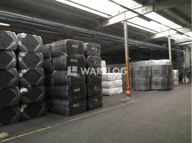 Lagerhalle zur Miete 6.800 m² Lagerfläche Nürtingen Nürtingen 72622