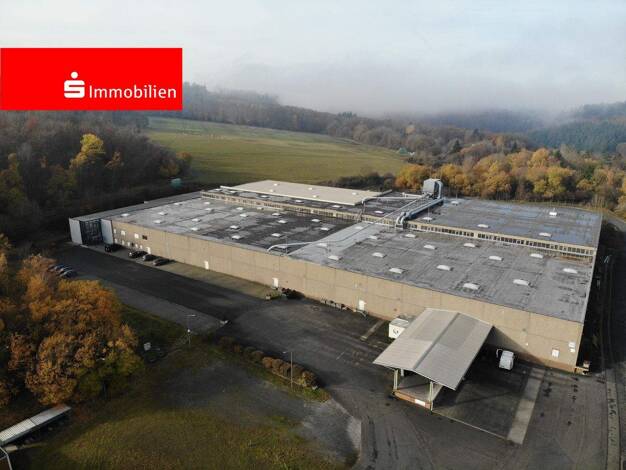 Produktionshalle zum Kauf provisionsfrei 4.950.000 € 10.895 m² Lagerfläche Medenbach Breitscheid 35767