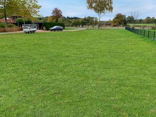 Grundstück zum Kauf 60.000 € 813 m² Grundstück Birkenkamp 8a Eldingen 29351