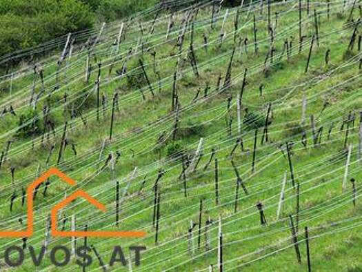 Grundstück zum Kauf 920.000 € 2.000 m² Grundstück Klosterneuburg 3400