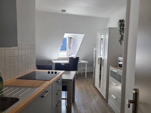 Wohnung zur Miete 800 € 1 Zimmer 28 m² Geschoss 2/3 frei ab 19.10.2026 Innenstadt Trier 54290