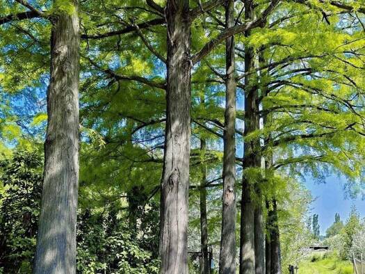 Grundstück zum Kauf 9.200 € 2.578 m² Grundstück Kiskunhalas 6400