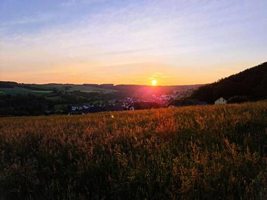 Grundstück zum Kauf provisionsfrei 118.500 € 1.248 m² Grundstück frei ab sofort Dahlheim 56348