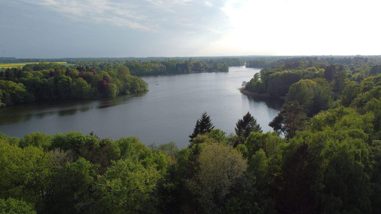 Immobilie in Bebensee - --stilvolles Architektenhaus mit Seegrundstück-- - Bild 2