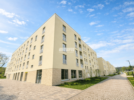 Ladenfläche zur Miete - Erstbezug 184,7 m² Verkaufsfläche Löbervorstadt Erfurt 99096