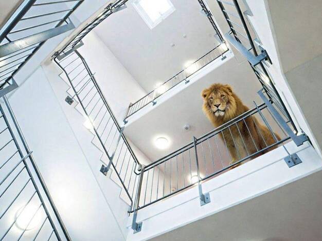 Bürofläche zur Miete 9.895 € 29 Zimmer 1.076 m² Bürofläche Pfungstadt 64319