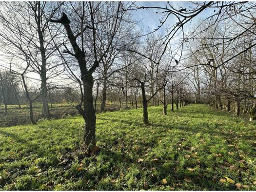 Land-/Forstwirtschaft zum Kauf 63.000 € 3.584 m² Grundstück Neuland Engelschoff 21710