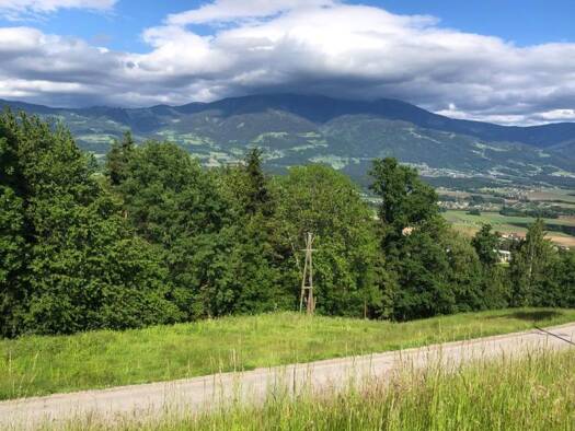 Grundstück zum Kauf 60.000 € 1.191 m² Grundstück St. Andrä 9433