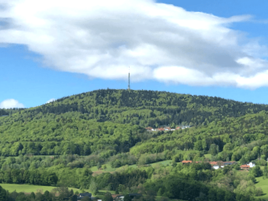 Hotel zum Kauf 90 Betten 320 m² Gastrofläche Allhartsmais Schöfweg 94572