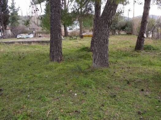 Grundstück zum Kauf 90.000 € 1.200 m² Grundstück Istiaia-Aidipsos Municipality 34300